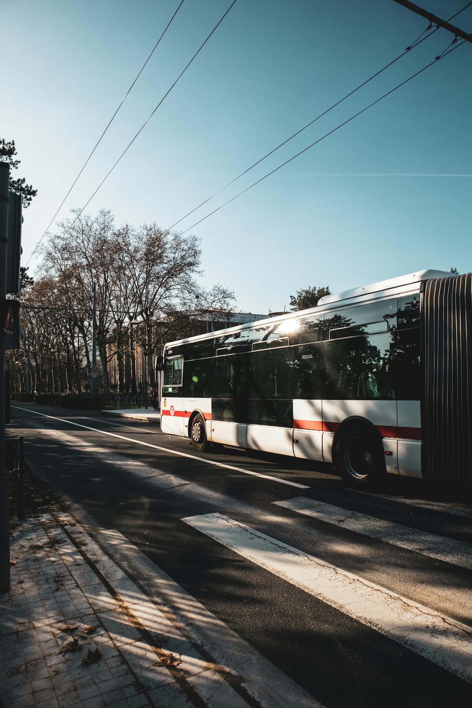 Bus TCL devant la cité international